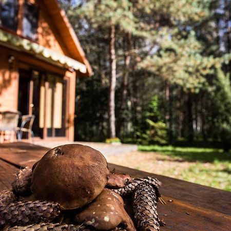Domek Pod Klonem Zary  Экстерьер фото