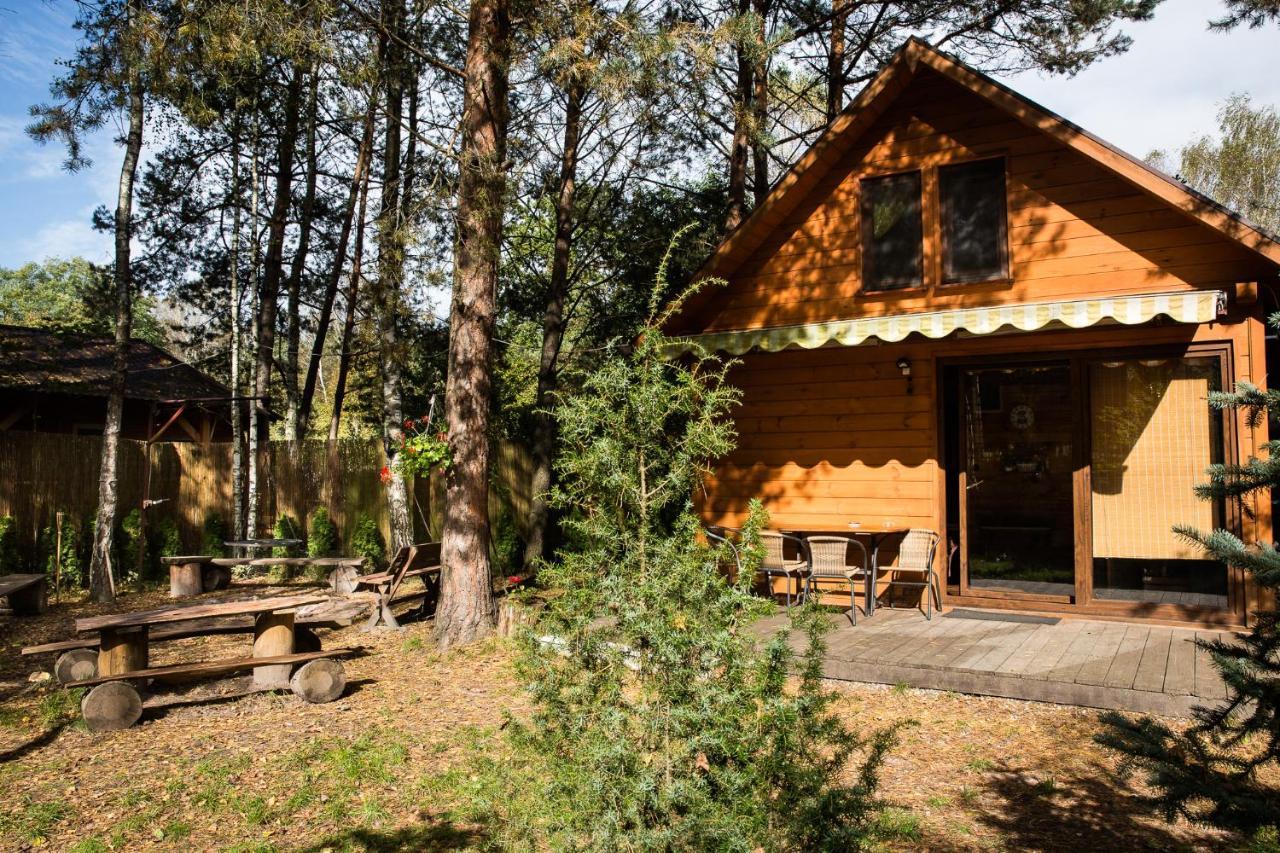 Domek Pod Klonem Zary  Экстерьер фото